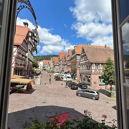 Apartment Fachwerk Calw